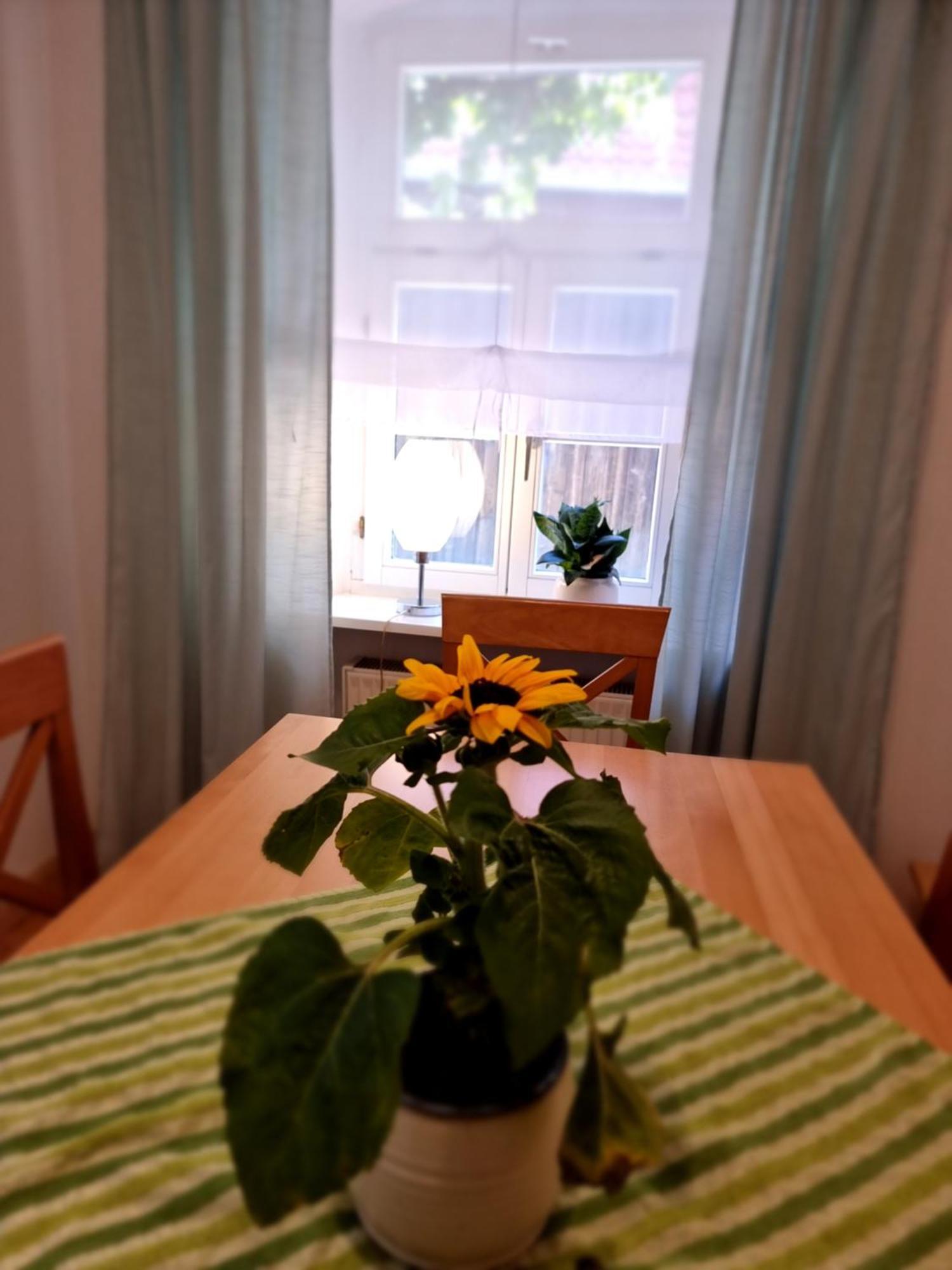 Ferienwohnung Boehm Segnitz Rom bilde